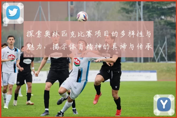 探索奥林匹克比赛项目的多样性与魅力，揭示体育精神的真谛与传承