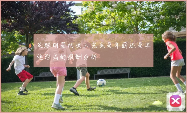 足球明星的收入究竟是年薪还是其他形式的报酬分析